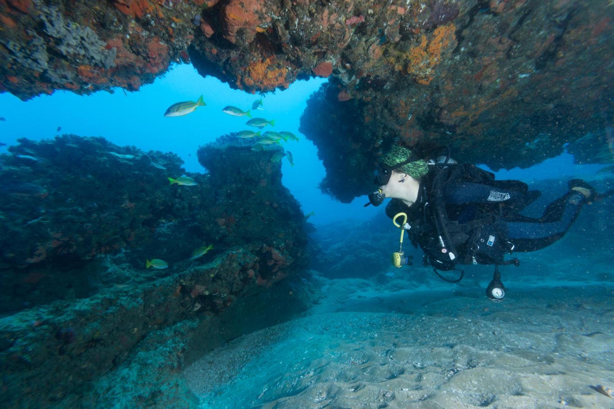 Sodwana Bay Lodge Dive & Fishing Resort Exterior foto